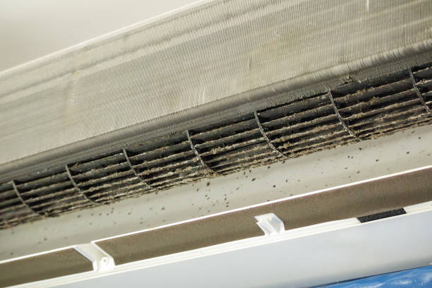 Best Commercial Air Duct Cleaning  in West Lafayette, IN
